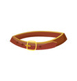 collar for dogs and cats vector image vector image