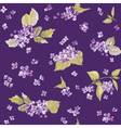 spring flowers backgrounds vector image
