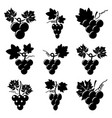 black and white icons of grapes vector image
