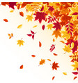 autumn falling leaves nature background with red vector image vector image
