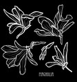 hand drawn floral decoration vector image