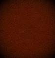 leather background vector image vector image
