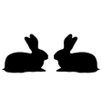 two bunny silhouette on a white background vector image