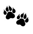 paw prints logo isolated vector image