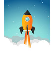 rocket launch product business vector image vector image