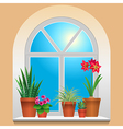 flowers window plants vector image vector image