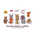 doodles fashion rabbits pets animals isolated vector image