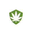 silhouette pot cannabis marijuana hemp leaf vector image
