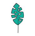 leaf palm tropical on white background vector image vector image