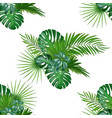 tropical background with jungle plants seamless vector image