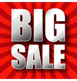 big sale poster vector image