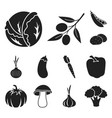 different kinds of vegetables black icons in set vector image