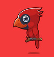cute cardinal bird vector image vector image