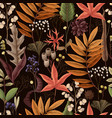 seamless pattern with autumn leaves and dried vector image