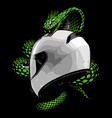 white helmet back view wrapped in snake vector image vector image