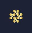 abstract circle connect gold logo vector image