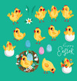 set of chickens and eggs for easter decor vector image