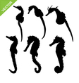 seahorse silhouette vector image vector image
