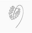 monstera leaf - one line drawing vector image
