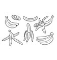 set of line art bananas isolated on white vector image vector image