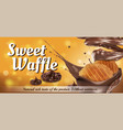 waffle with sprinkles chocolate sauce vector image