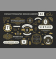 vintage typographic decorative ornament design vector image vector image
