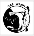 girl on car wash cleaning service vector image