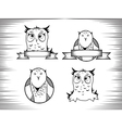 crazy owl vector image