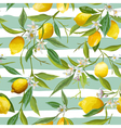 seamless pattern lemon fruits background vector image vector image