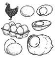 set chicken and eggs in engraving style vector image vector image