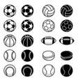 sport balls and equipment vector image