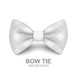 bow tie for father s day design 3d vector image