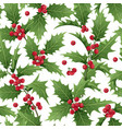 christmas seamless pattern with holly branches vector image