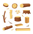 materials for wood industry tree lumber trunk vector image