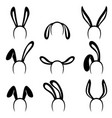 decorative rabbit ears set vector image