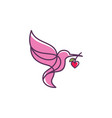 hummingbird logo design template vector image