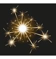 fireworks sparkler on black background vector image