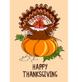 thanksgiving card with pumpkin and turkey bird vector image