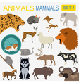 animals mammals icon set flat style vector image