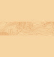 abstract topographic map in brown colors vector image
