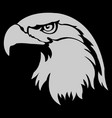 eagle icon - animal with color vector image vector image