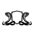 two cobra snakes and a shield vector image