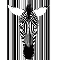 zebra barcode face vector image