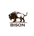 bison buffalo symbol bull company corporate icon vector image