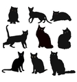 breed cats silhouette in different poses vector image