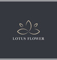 lotus flower logo abstract beauty spa salon vector image