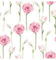 floral seamless pattern with pink eustoma vector image
