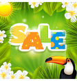 green sale poster with tropical elements vector image vector image