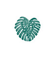 monestera leaf vector image vector image