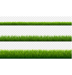 Set green grass borders transparent background Vector Image